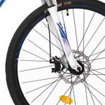 Bicicleta Nazca 2929M Mtb.r29-21V. Dis.alum.17 Sunrun Gris
